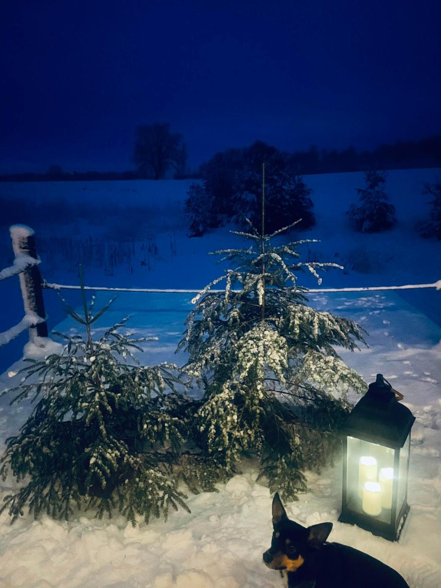 Vecvanagi Jaunmuiza Kültér fotó